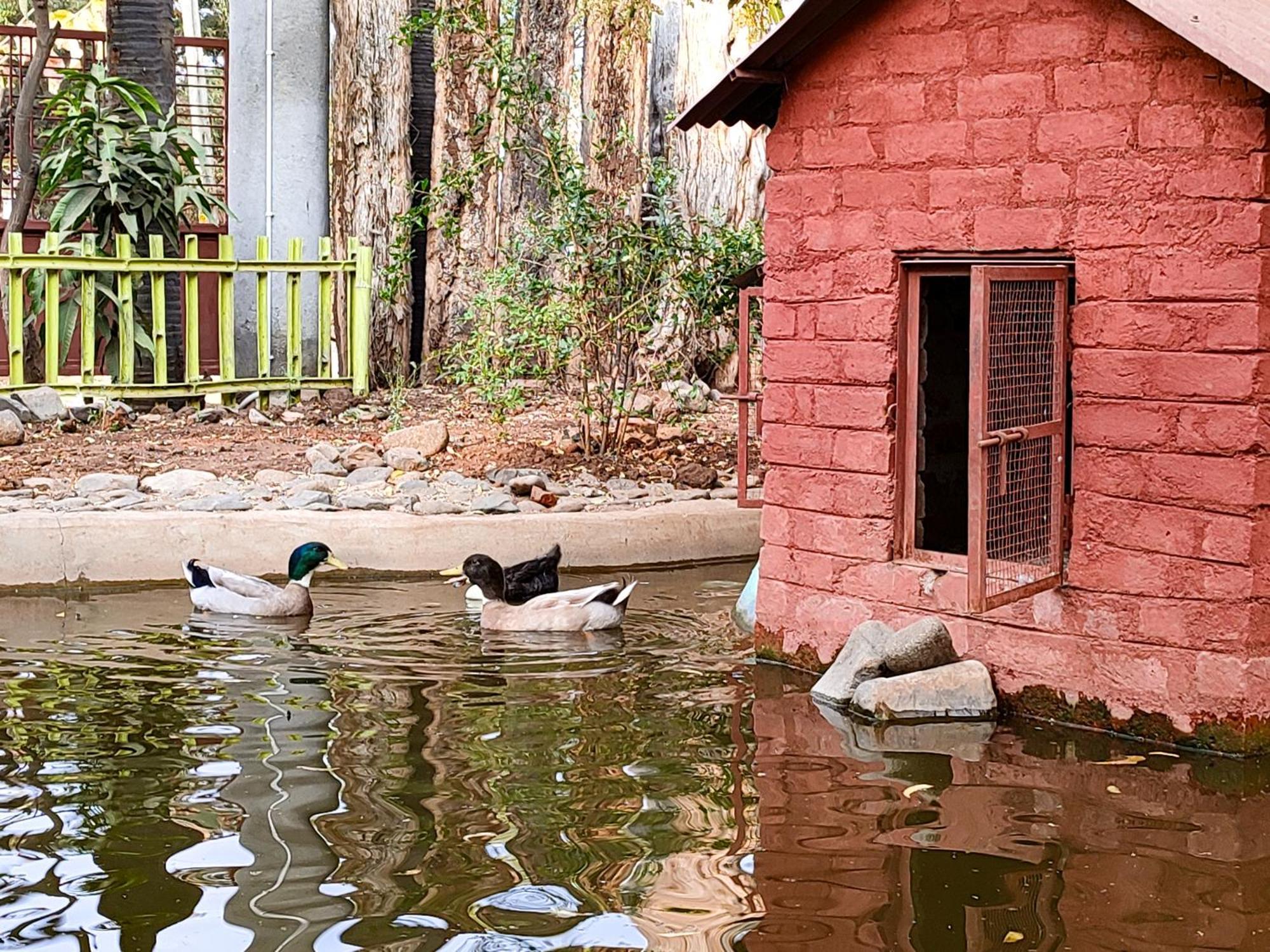 Van Vagdo Resort Rajpipla Ngoại thất bức ảnh