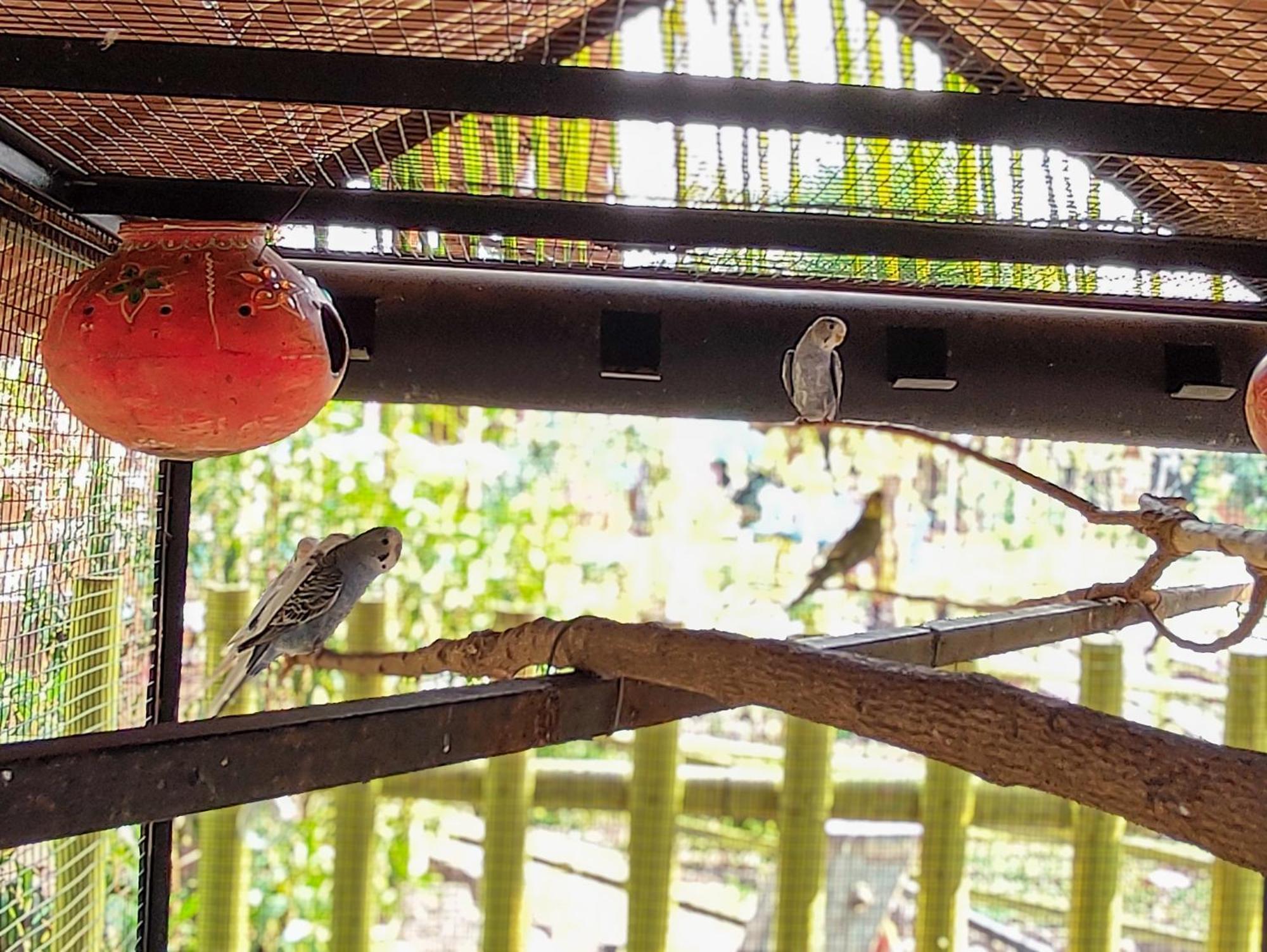 Van Vagdo Resort Rajpipla Ngoại thất bức ảnh